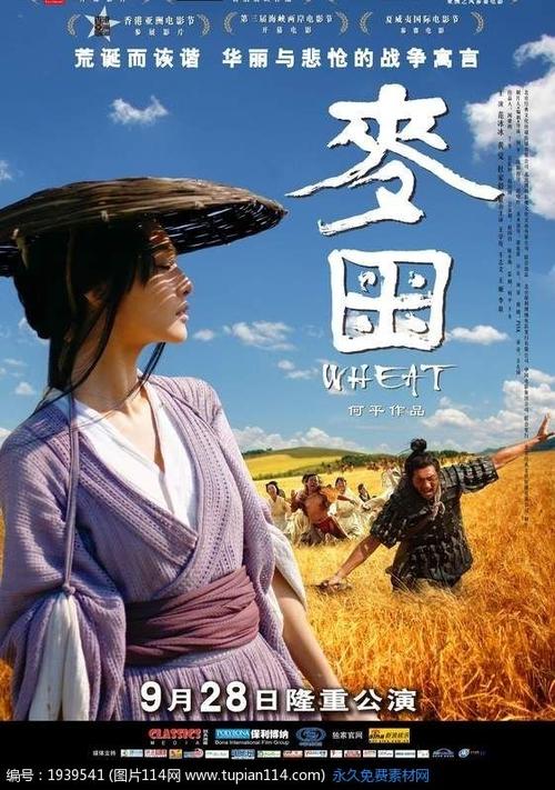 公司学历证书会查吗